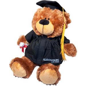 Graduation bear with Algonquin College on robe