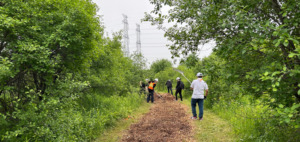 wide shot of outdoor trail and people at work raking mulch