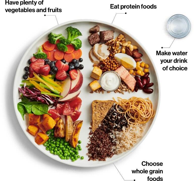 Balanced Diet Meal – Dear Diet