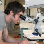 Person using microscope to examine a document