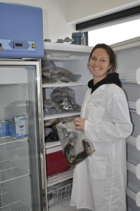 Katarina retrieves eel from science lab fridge