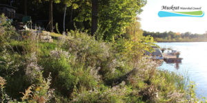 Muskrat Watershed Council Natural Edge Program, Algonquin College, Pembroke