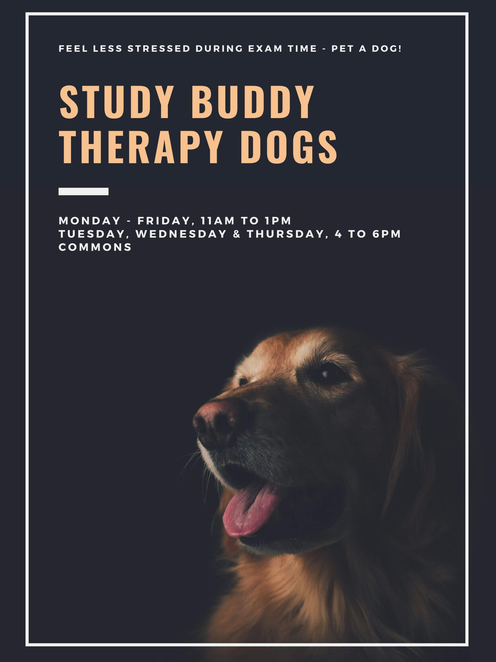 therapy dogs (1) - Pembroke Campus