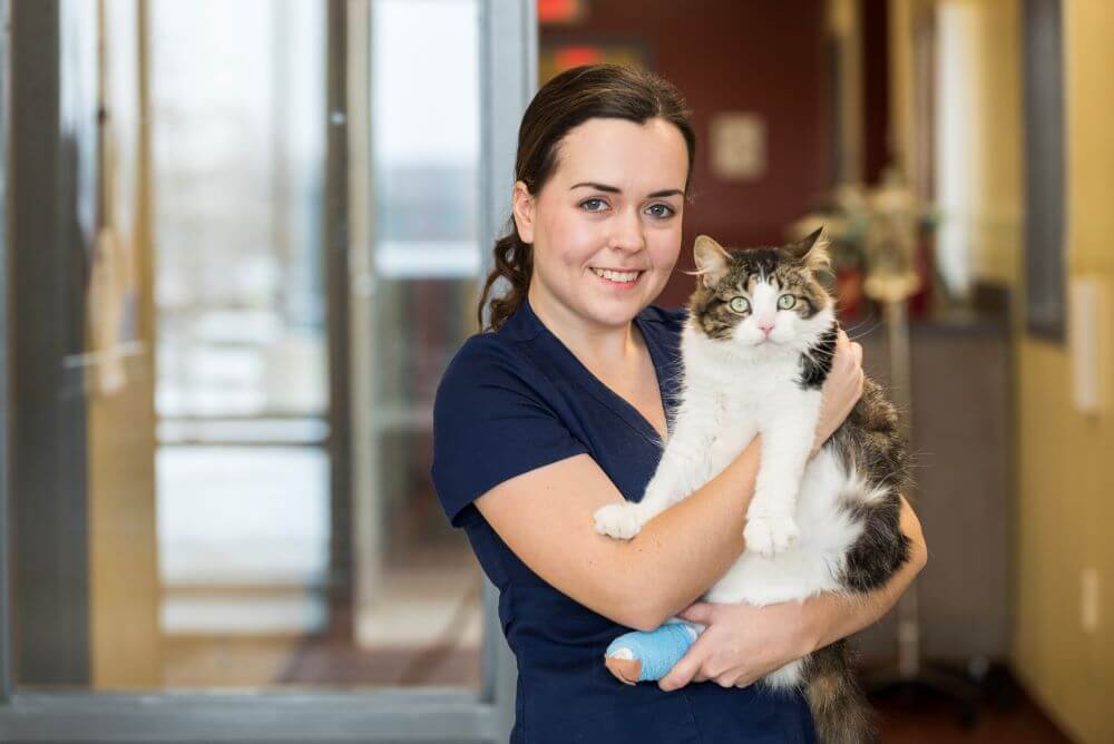 Student holding a cat in the Veterinary Clinic and Learning Centre