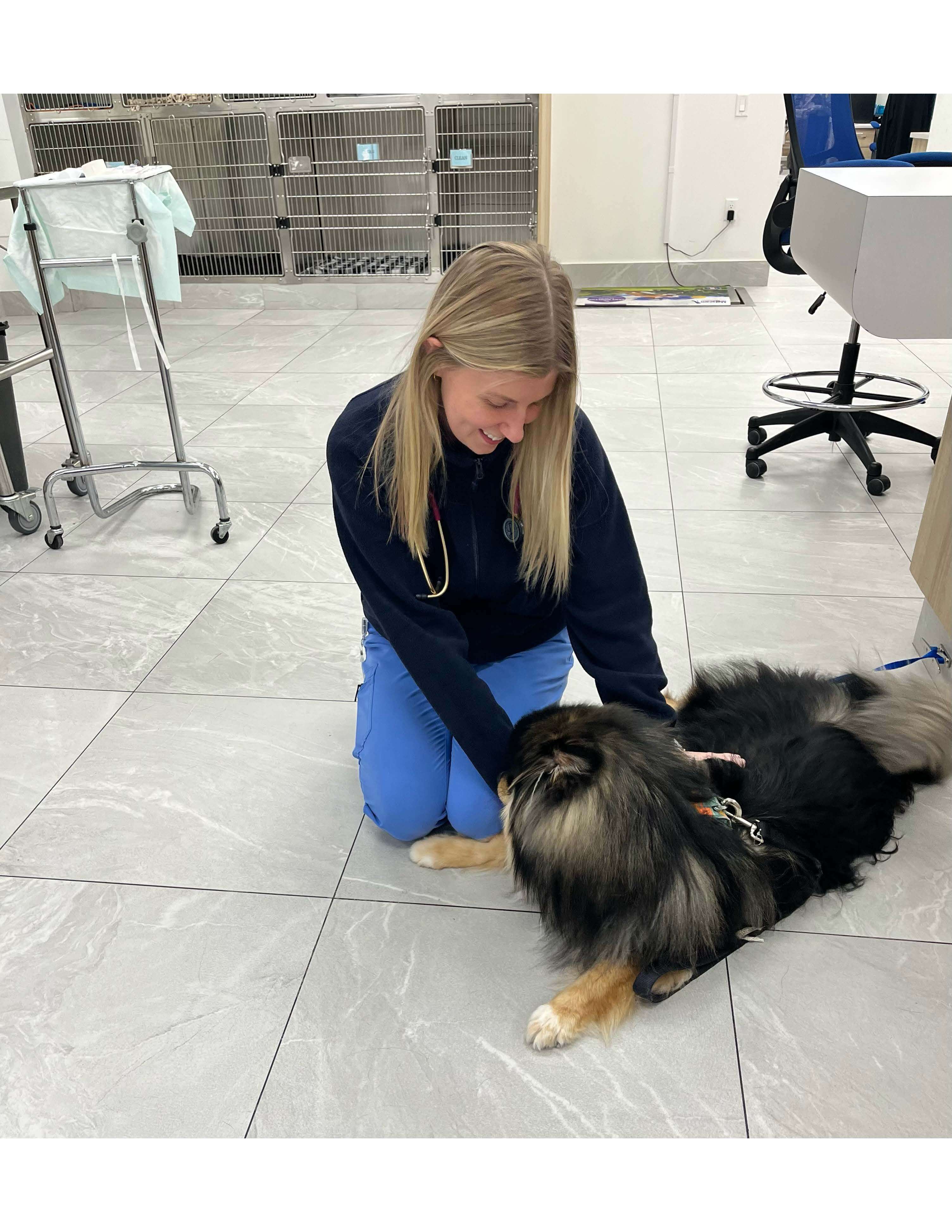 Graduate petting a dog in a Veterinary Clinic